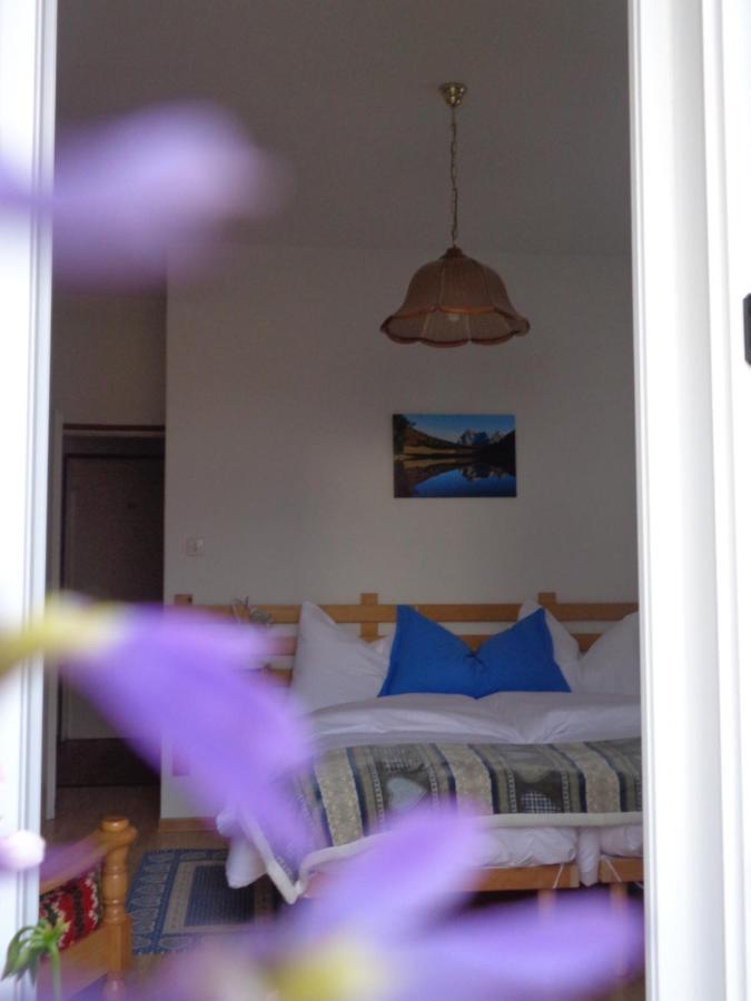 Hotel Garni Suisse San Martino Di Castrozza Buitenkant foto